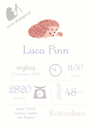 Mijlpalenposter